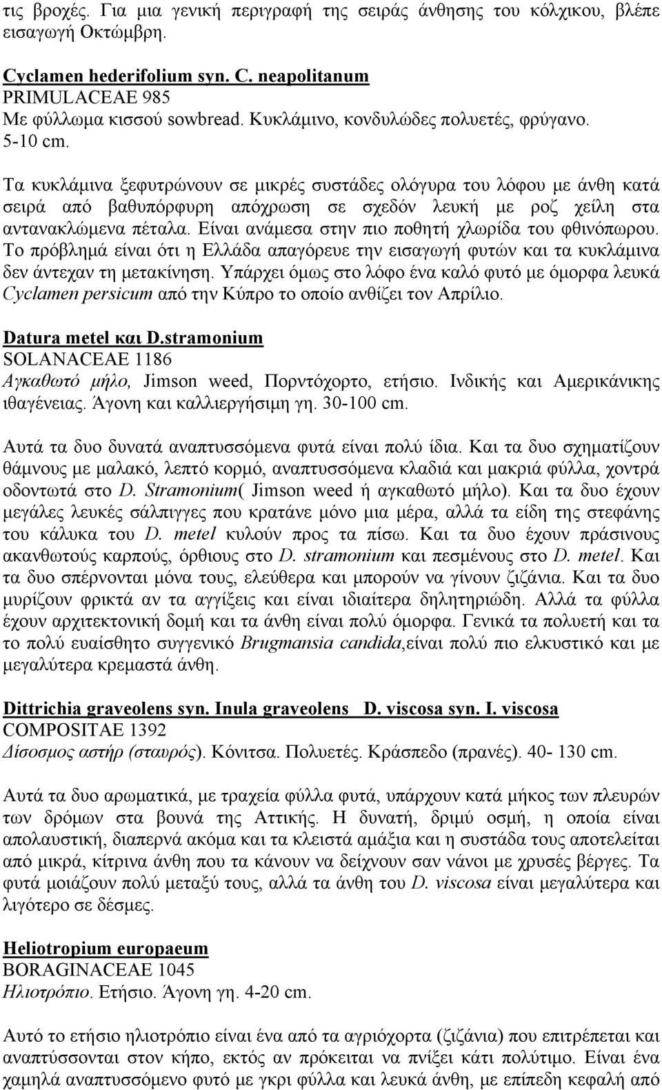 Τα κυκλάμινα ξεφυτρώνουν σε μικρές συστάδες ολόγυρα του λόφου με άνθη κατά σειρά από βαθυπόρφυρη απόχρωση σε σχεδόν λευκή με ροζ χείλη στα αντανακλώμενα πέταλα.