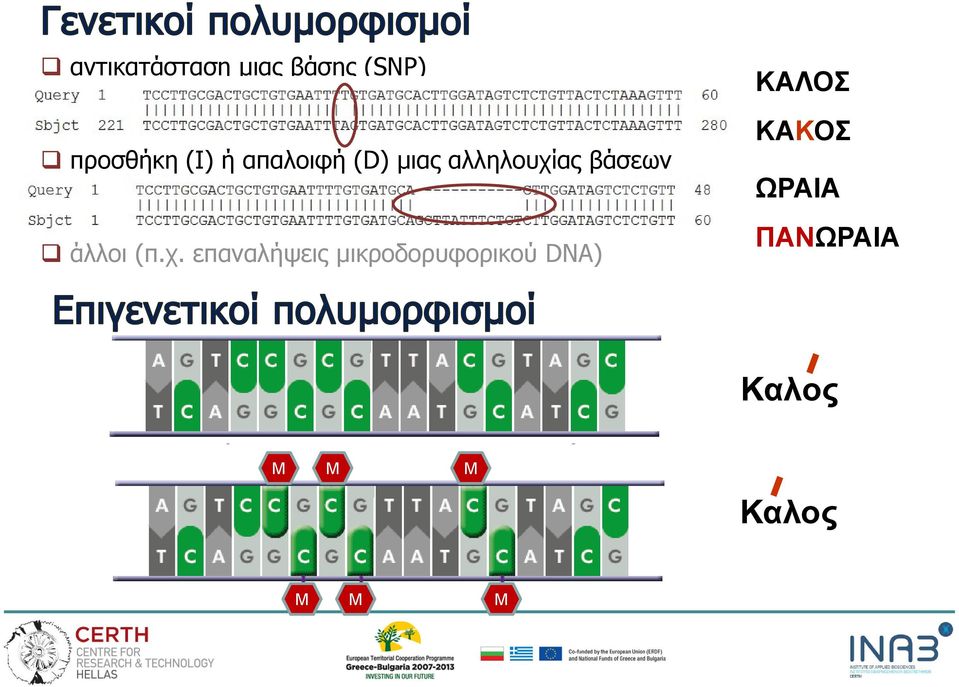 (π.χ. επαναλήψεις μικροδορυφορικού DNA)