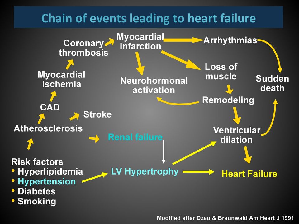 of muscle Remodeling Ventricular dilation Sudden death Risk factors Hyperlipidemia