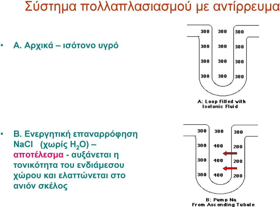 Ενεργητική επαναρρόφηση NaCl (χωρίς H 2 O)