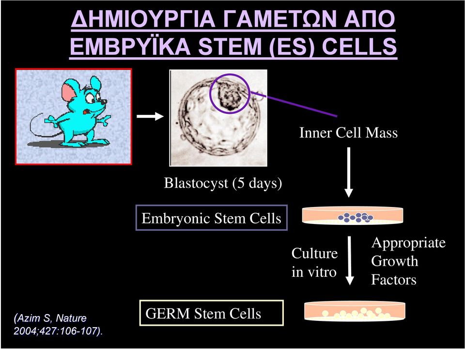 Cells Culture in vitro Appropriate Growth Factors