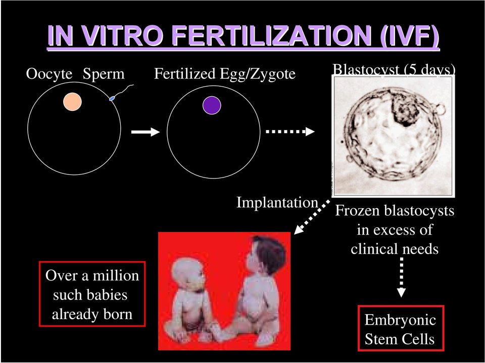 million such babies already born Implantation