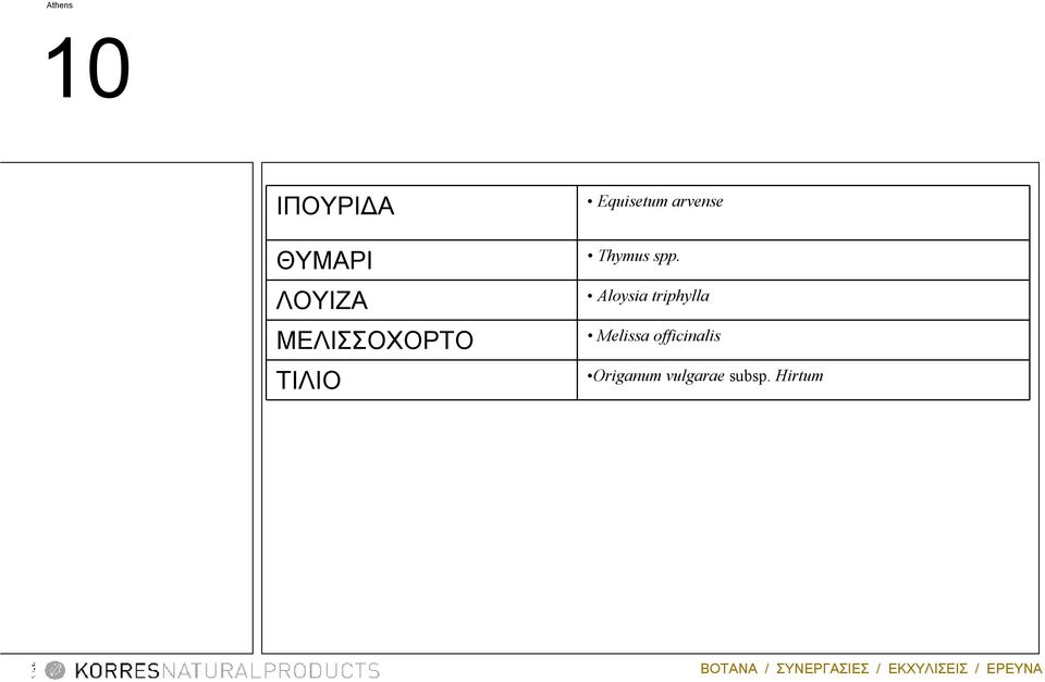 arvense Thymus spp.