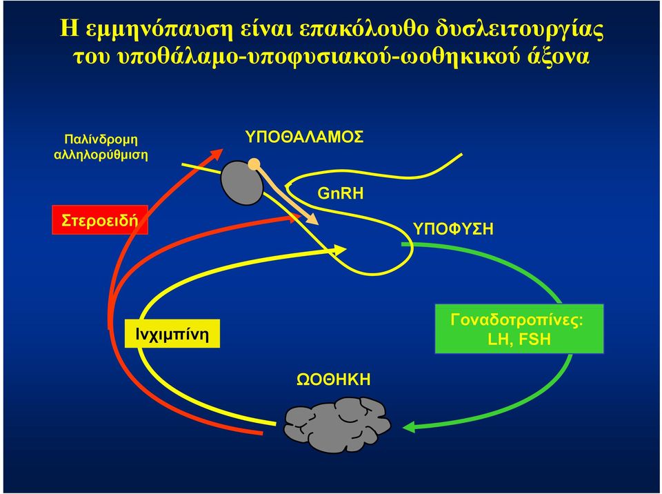 Παλίνδρομη αλληλορύθμιση ΥΠΟΘΑΛΑΜΟΣ Στεροειδή