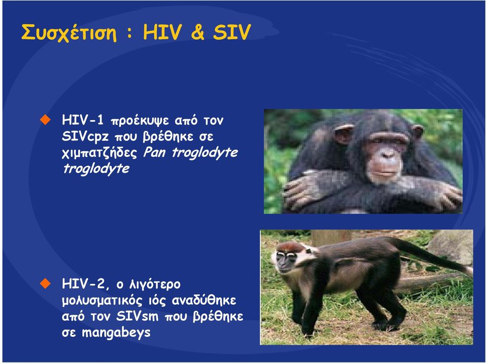 troglodyte troglodyte HIV-2, ο λιγότερο