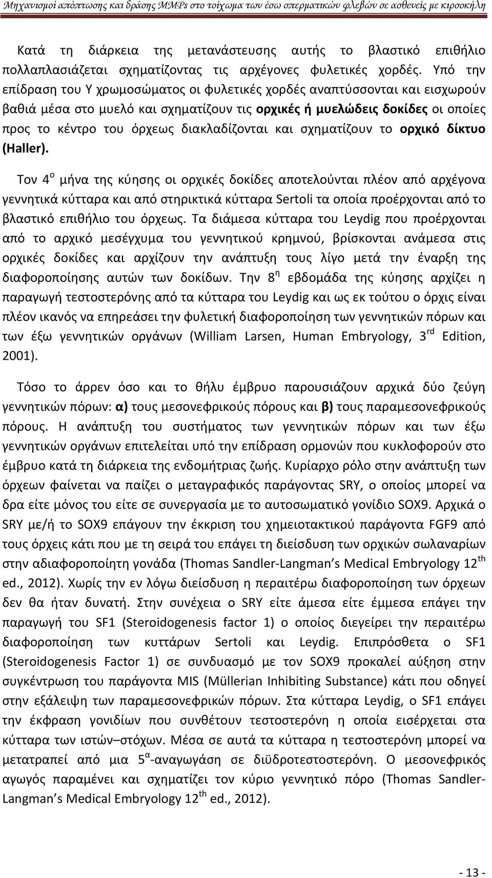 διακλαδίζονται και σχηματίζουν το ορχικό δίκτυο (Haller).