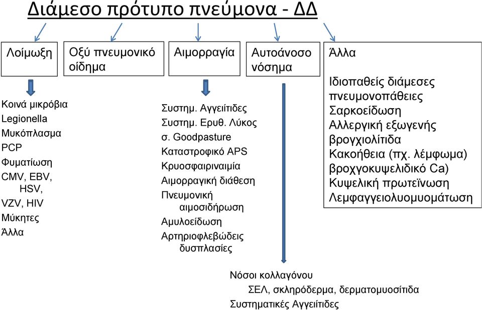 Goodpasture Καταστροφικό APS Κρυοσφαιριναιμία Αιμορραγική διάθεση Πνευμονική αιμοσιδήρωση Αμυλοείδωση Αρτηριοφλεβώδεις δυσπλασίες Αυτοάνοσο νόσημα