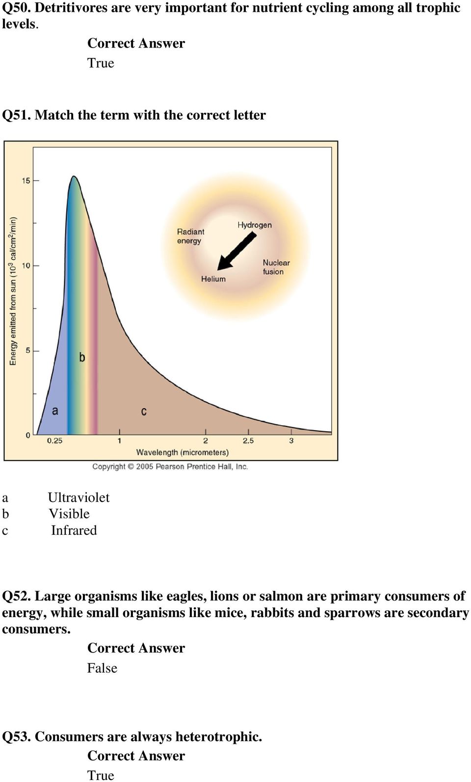 Large organisms like eagles, lions or salmon are primary consumers of energy, while small