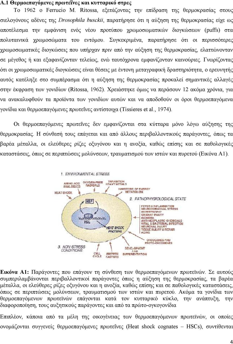 χρωµοσωµατικών διογκώσεων (puffs) στα πολυταινικά χρωµοσώµατα του εντόµου.