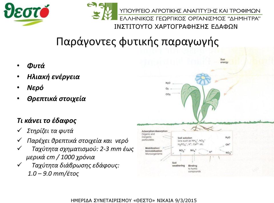 Παρέχει θρεπτικά στοιχεία και νερό Ταχύτητα σχηματισμού: 2-3