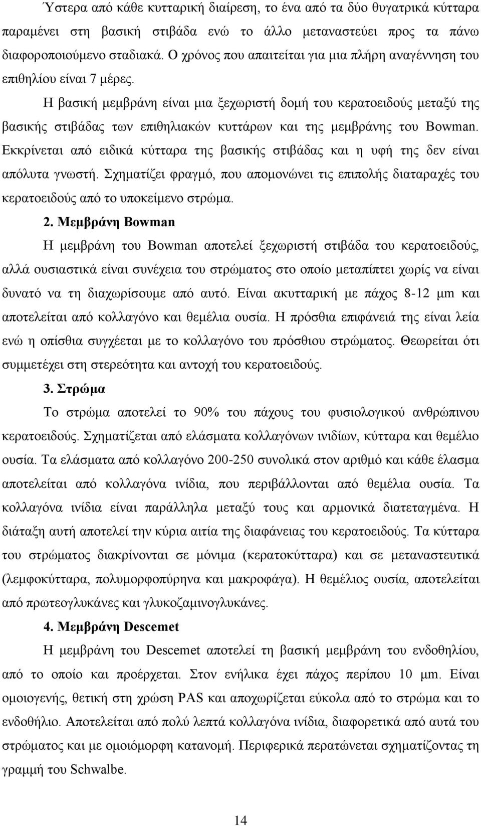 Η βασική μεμβράνη είναι μια ξεχωριστή δομή του κερατοειδούς μεταξύ της βασικής στιβάδας των επιθηλιακών κυττάρων και της μεμβράνης του Bowman.