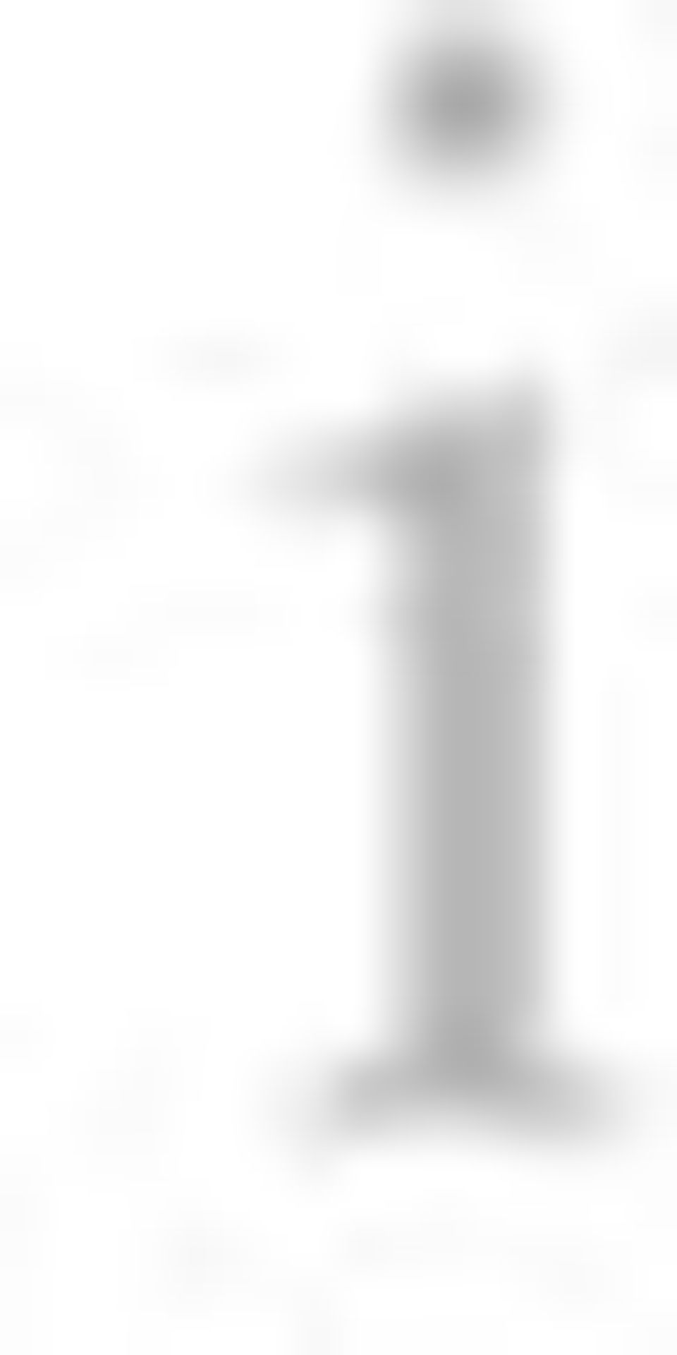 2. 5 You [27 ] 33 m : (1) Ye [28 ] [50 300 m ] ; (2) 3 [51 ] ; (3),2004 Li [29 ] [52 ] CE2 AD (capillary zone electrophoresis-ad, CZE-AD) OH 6 OH 6