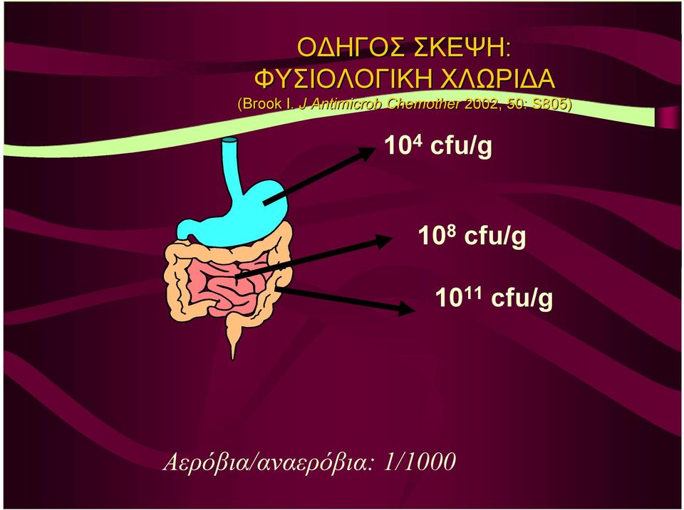J Antimicrob Chemother 2002, 50: