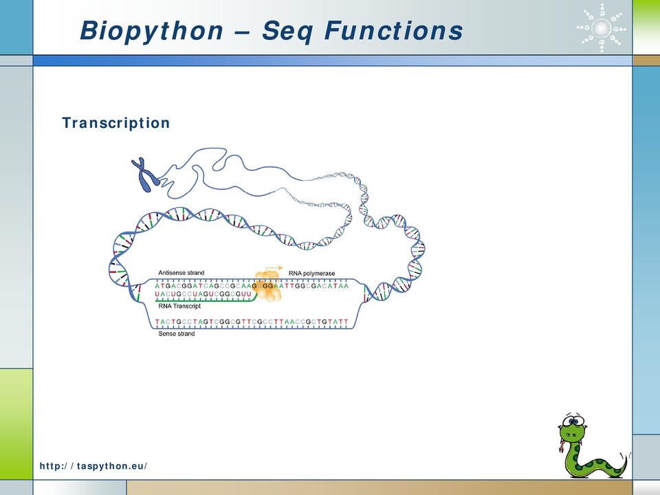 Functions