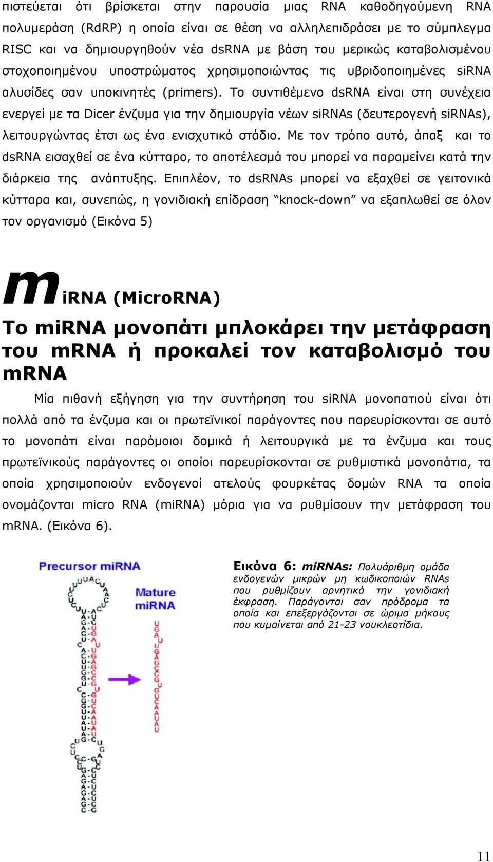 To συντιθέμενο dsrna είναι στη συνέχεια ενεργεί με τα Dicer ένζυμα για την δημιουργία νέων sirnas (δευτερογενή sirnas), λειτουργώντας έτσι ως ένα ενισχυτικό στάδιο.