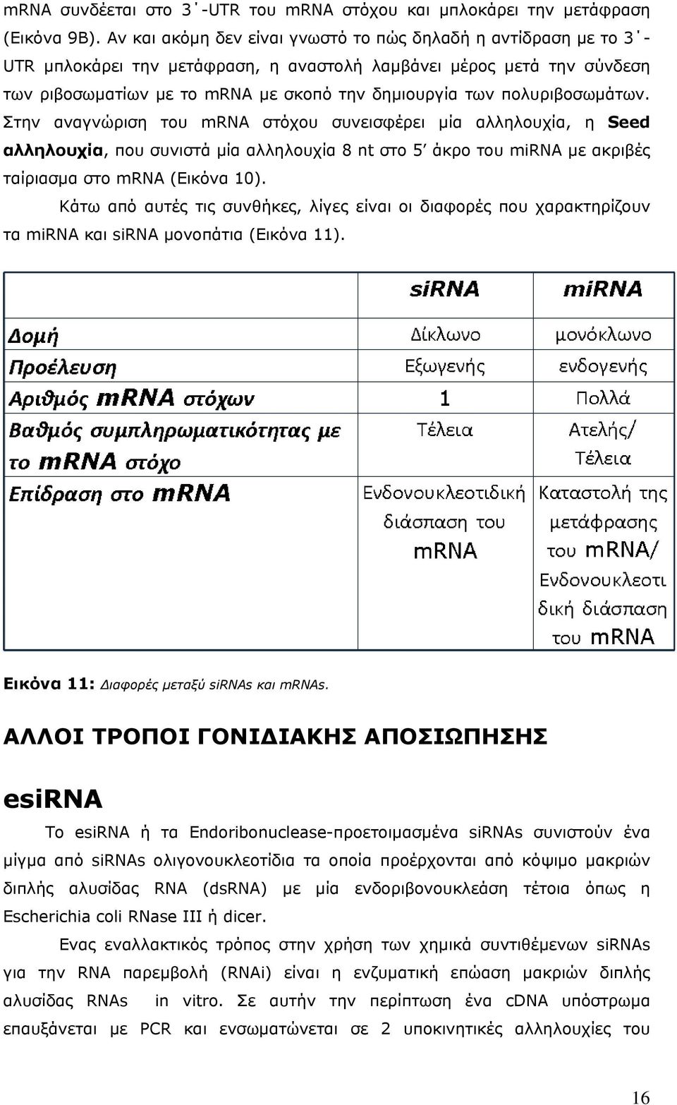 πολυριβοσωμάτων. Στην αναγνώριση του mrna στόχου συνεισφέρει μία αλληλουχία, η Seed αλληλουχία, που συνιστά μία αλληλουχία 8 nt στο 5 άκρο του mirna με ακριβές ταίριασμα στο mrna (Εικόνα 10).