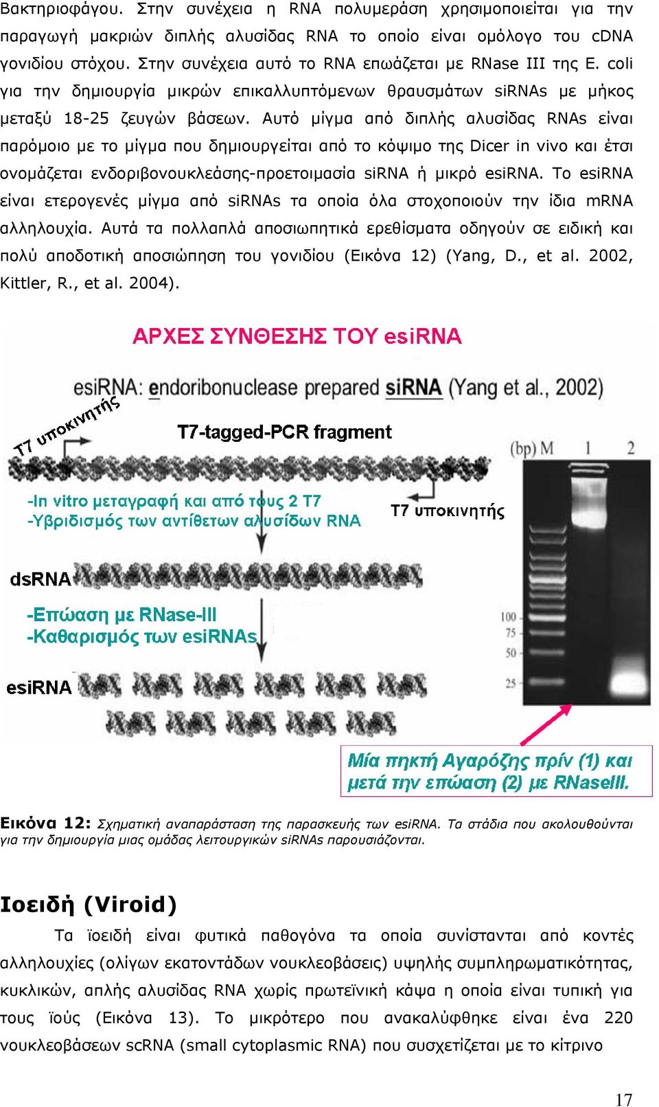 Αυτό μίγμα από διπλής αλυσίδας RNAs είναι παρόμοιο με το μίγμα που δημιουργείται από το κόψιμο της Dicer in vivo και έτσι ονομάζεται ενδοριβονουκλεάσης-προετοιμασία sirna ή μικρό esirna.