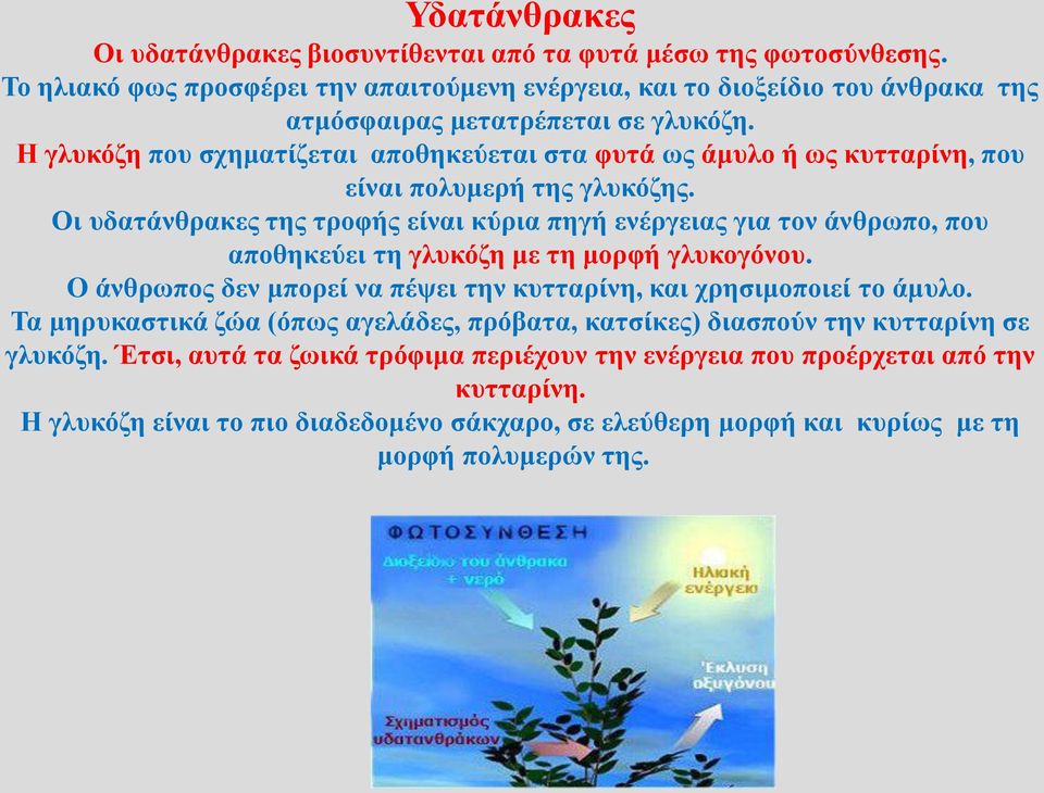 Η γλυκόζη που σχηματίζεται αποθηκεύεται στα φυτά ως άμυλο ή ως κυτταρίνη, που είναι πολυμερή της γλυκόζης.