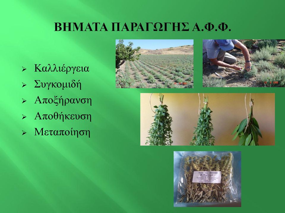 Αποξήρανση