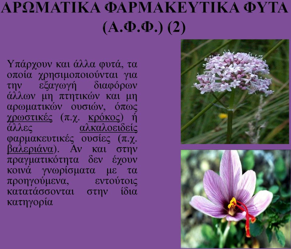 ωστικές (π.χ. κρόκος) ή άλλες αλκαλοειδείς φαρμακευτικές ουσίες (π.χ. βαλεριάνα).