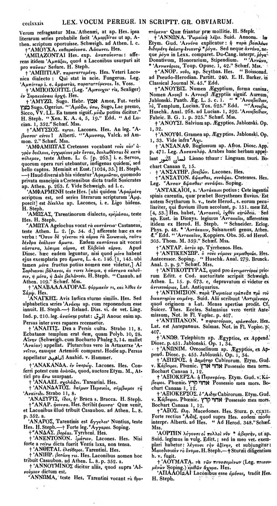 παραταττομένη. Hes. Veteri Laco nica dialecto : Qui stat in acie. Fungerus. Leg. Άμπίτταρ i. e. άμφιστάί, παραταττόμενοε. Is. Voss. t ΑΜΠΟΙΧΟΙΤΙΣ. (Leg. Άμποιχοι- ris, Scaliger) ej Συρακούσαιε αρχή.