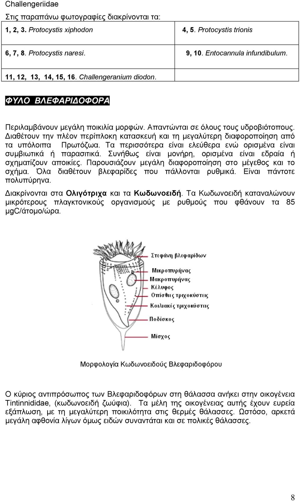 Διαθέτουν την πλέον περίπλοκη κατασκευή και τη μεγαλύτερη διαφοροποίηση από τα υπόλοιπα Πρωτόζωα. Τα περισσότερα είναι ελεύθερα ενώ ορισμένα είναι συμβιωτικά ή παρασιτικά.