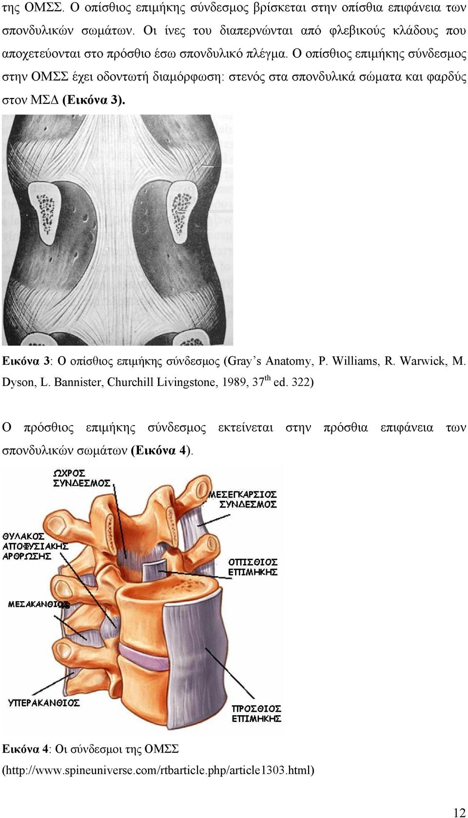 Ο οπίσθιος επιμήκης σύνδεσμος στην ΟΜΣΣ έχει οδοντωτή διαμόρφωση: στενός στα σπονδυλικά σώματα και φαρδύς στον ΜΣΔ (Εικόνα 3).