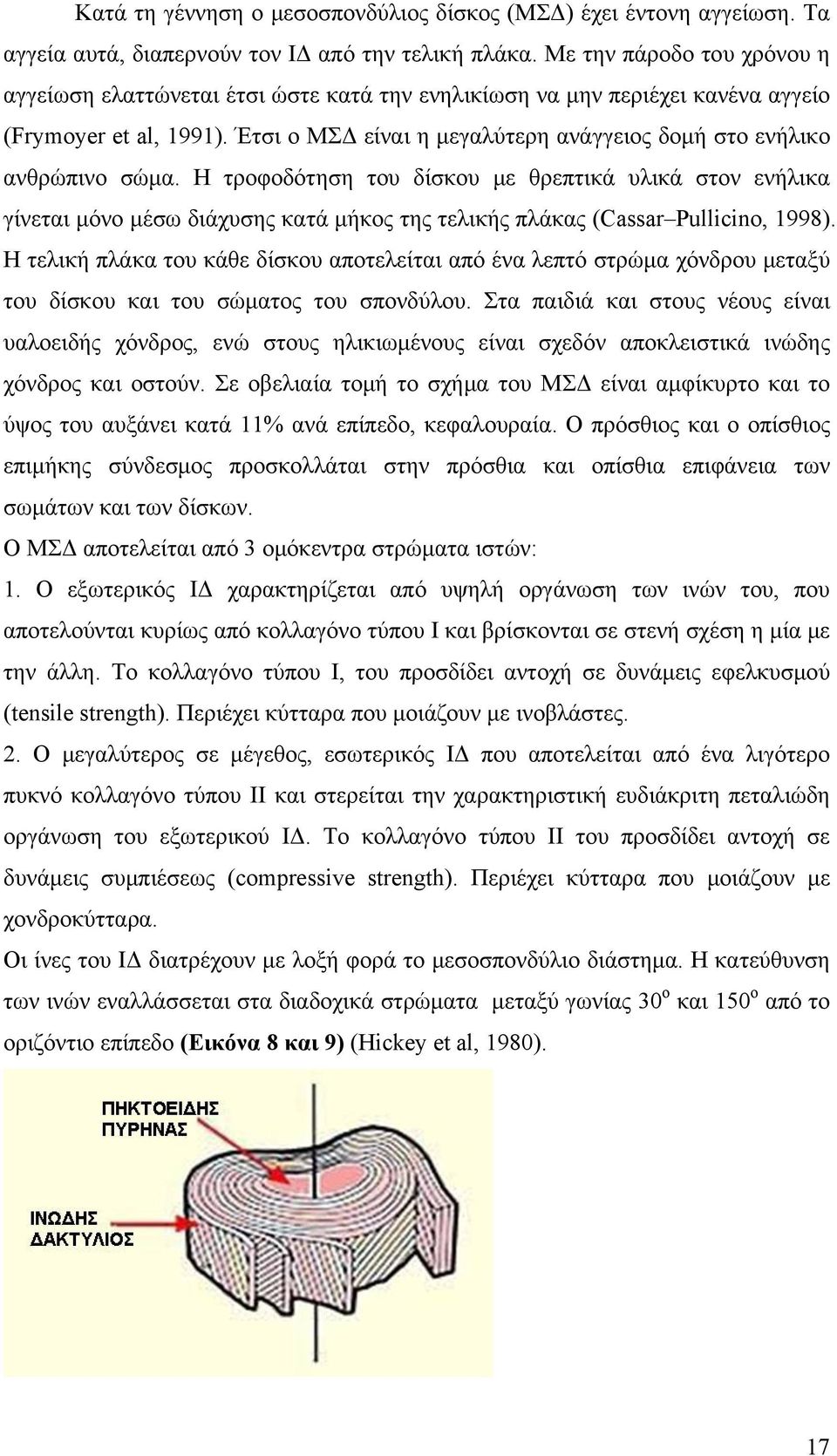 Έτσι ο ΜΣΔ είναι η μεγαλύτερη ανάγγειος δομή στο ενήλικο ανθρώπινο σώμα.