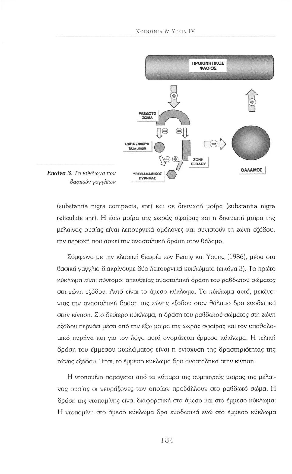 Η έσω μοίρα της ωχράς σφαίρας και η δικτυωτή μοίρα της μέλαινας ουσίας είναι λειτουργικά ομόλογες και συνιστούν τη ζώνη εξόδου, την περιοχή που ασκεί την ανασταλτική δράση στον θάλαμο.