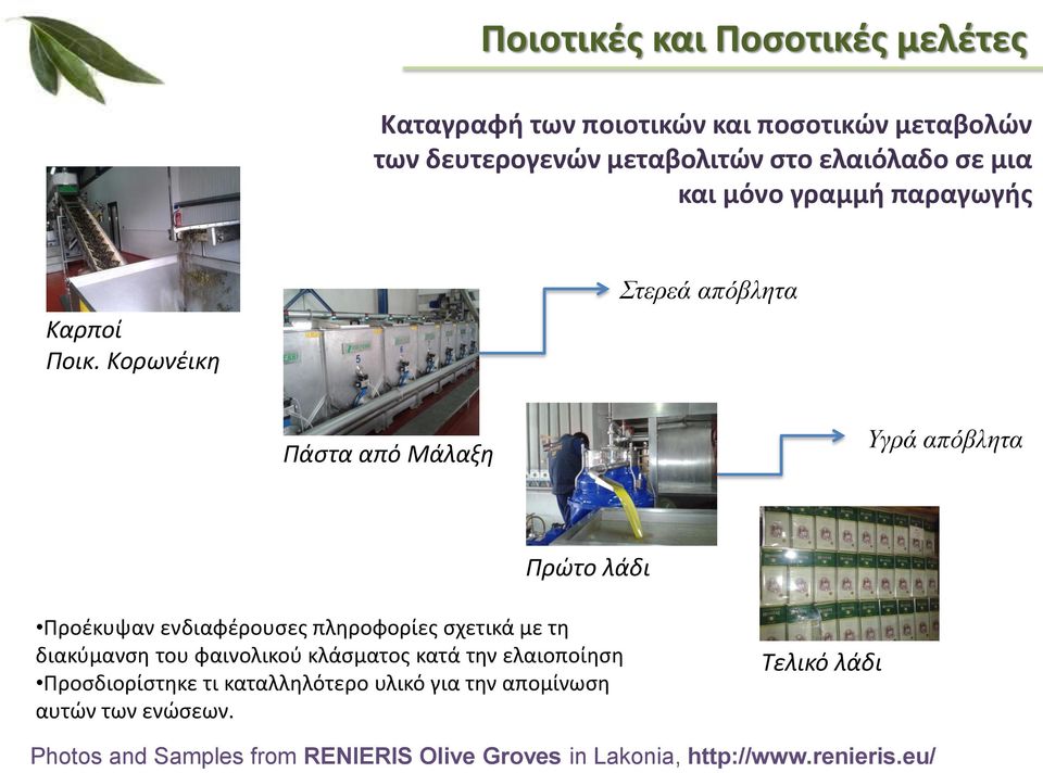 Κορωνέικη Στερεά απόβλητα Πάστα από Μάλαξη Υγρά απόβλητα Πρώτο λάδι Προέκυψαν ενδιαφέρουσες πληροφορίες σχετικά με τη