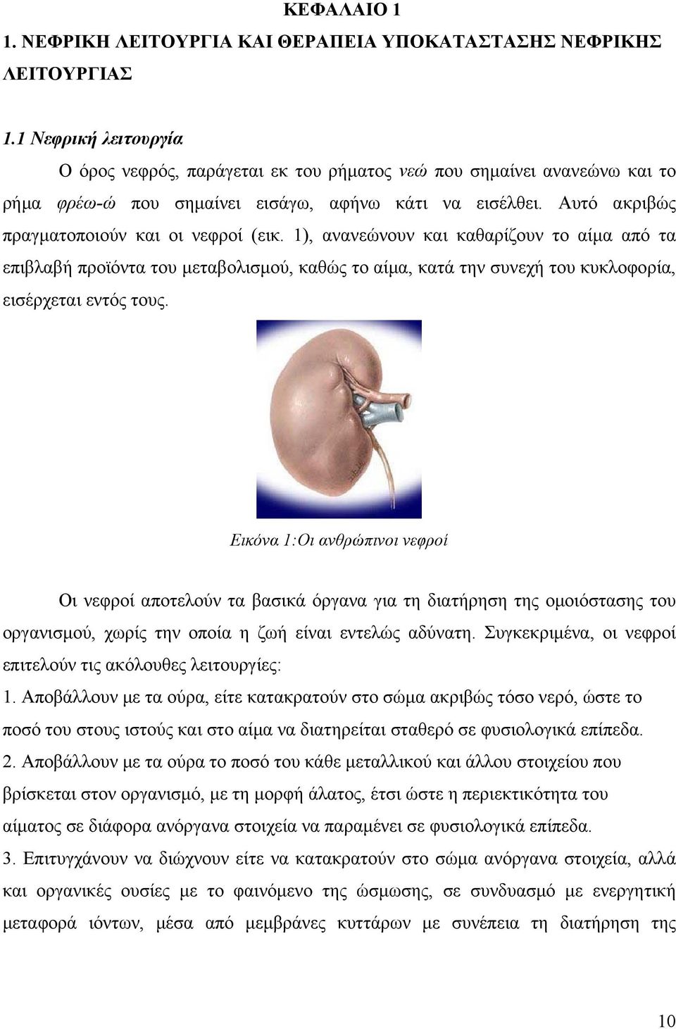1), ανανεώνουν και καθαρίζουν το αίμα από τα επιβλαβή προϊόντα του μεταβολισμού, καθώς το αίμα, κατά την συνεχή του κυκλοφορία, εισέρχεται εντός τους.
