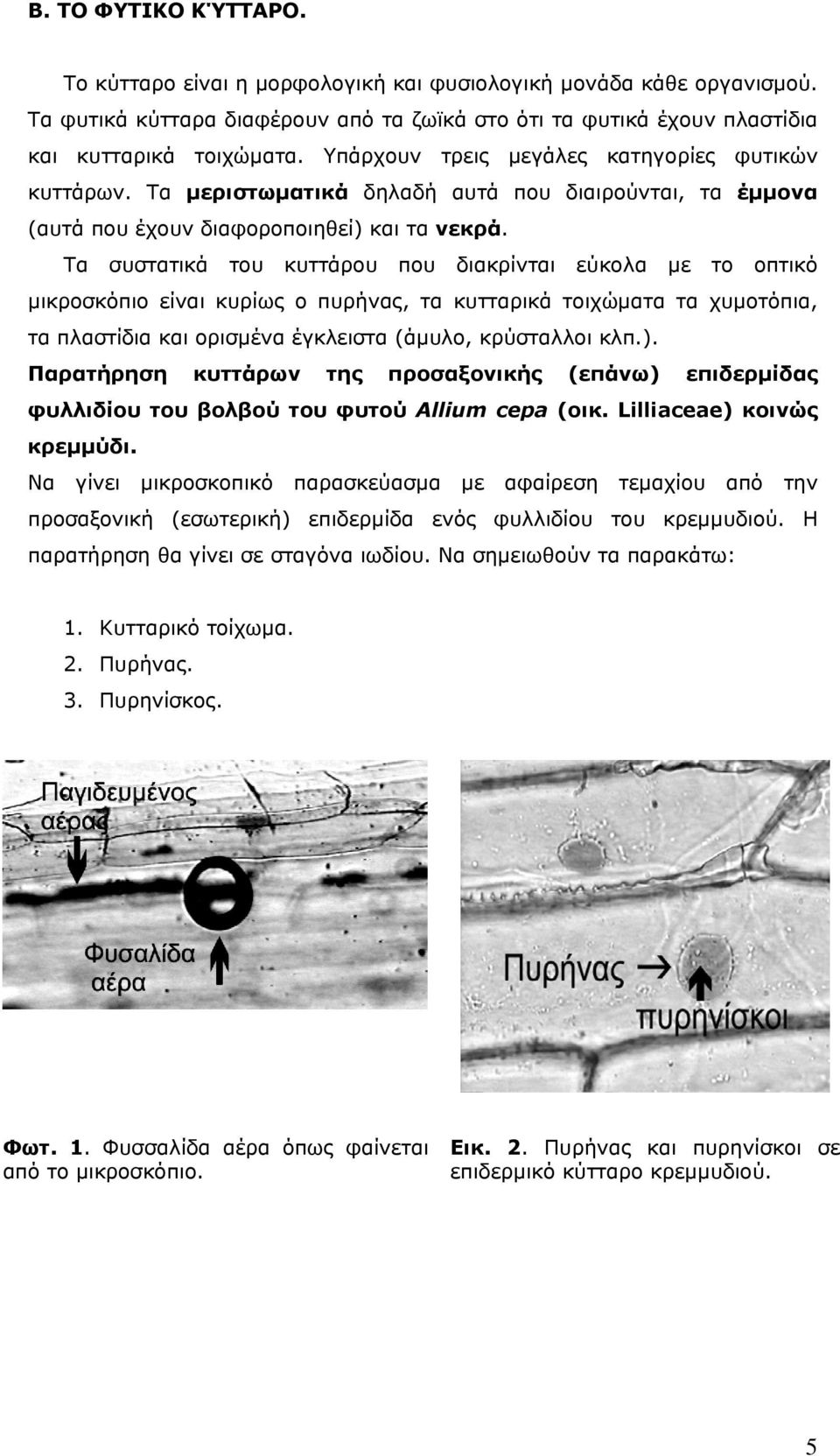 Τα συστατικά του κυττάρου που διακρίνται εύκολα με το οπτικό μικροσκόπιο είναι κυρίως ο πυρήνας, τα κυτταρικά τοιχώματα τα χυμοτόπια, τα πλαστίδια και ορισμένα έγκλειστα (άμυλο, κρύσταλλοι κλπ.).