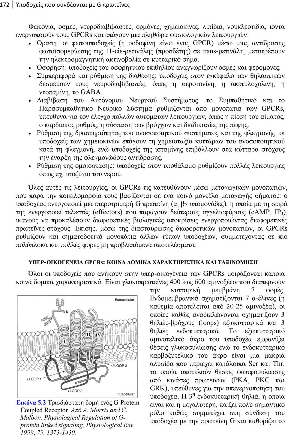 σε κυτταρικό σήμα. Όσφρηση: υποδοχείς του οσφρητικού επιθηλίου αναγνωρίζουν οσμές και φερομόνες.