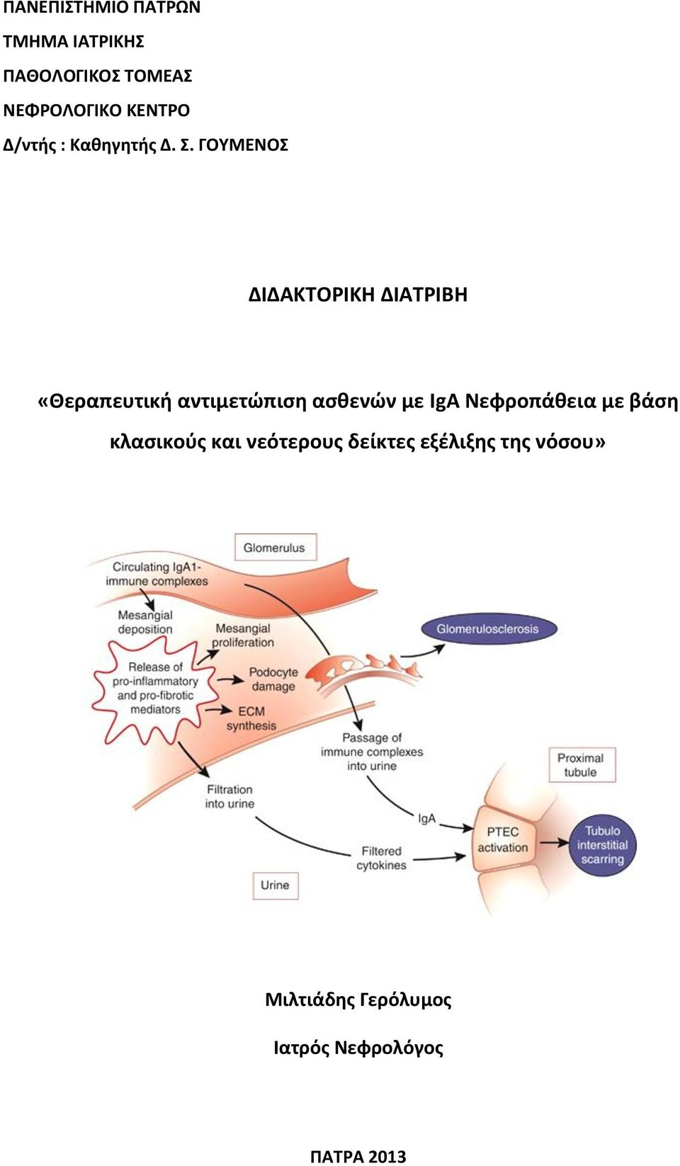 ΓΟΥΜΕΝΟΣ ΔΙΔΑΚΤΟΡΙΚΗ ΔΙΑΤΡΙΒΗ «Θεραπευτική αντιμετώπιση ασθενών με IgA