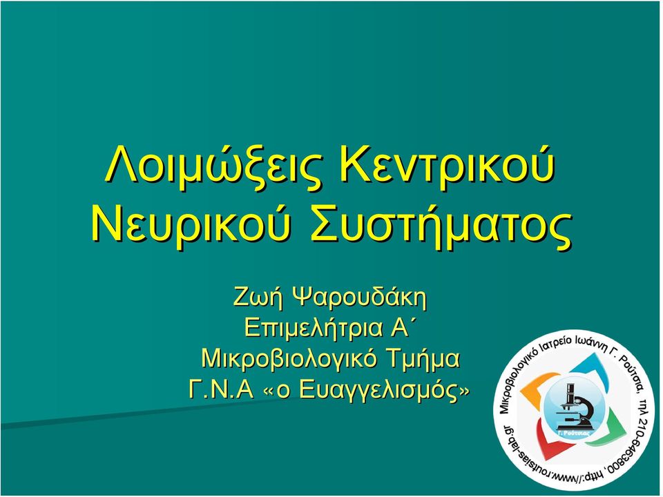 Ψαρουδάκη Επιμελήτρια Α