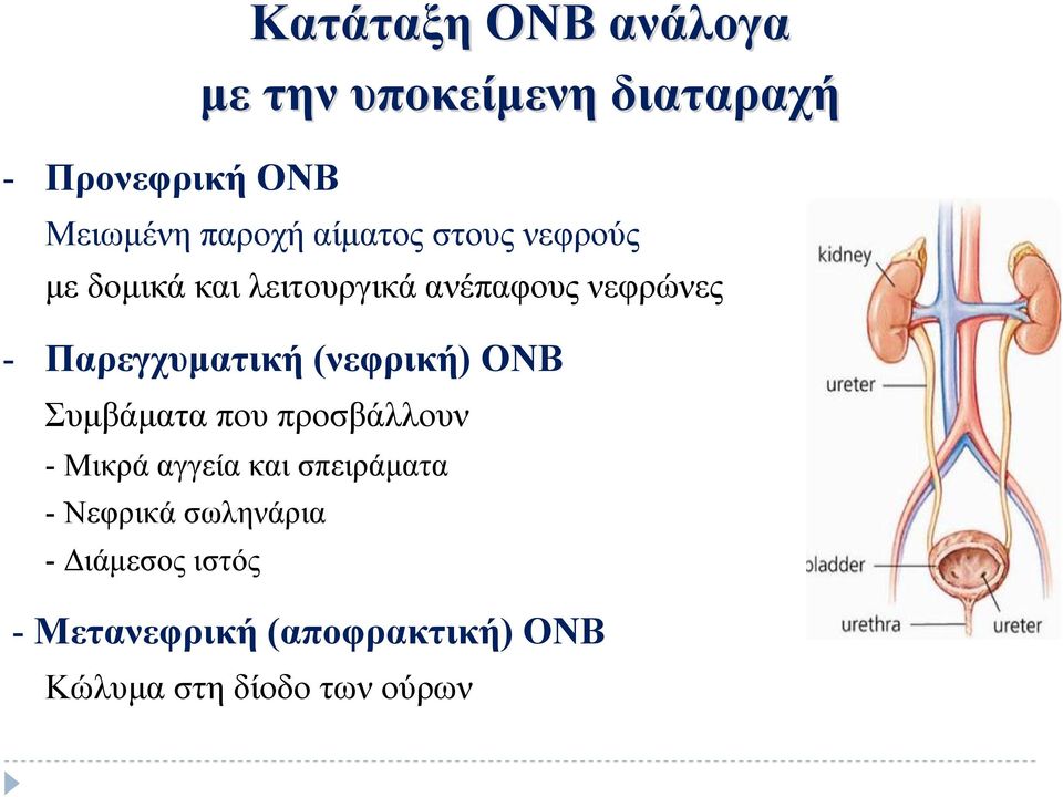 (νεφρική) ΟΝΒ Συμβάματα που προσβάλλουν - Μικρά αγγεία και σπειράματα - Νεφρικά