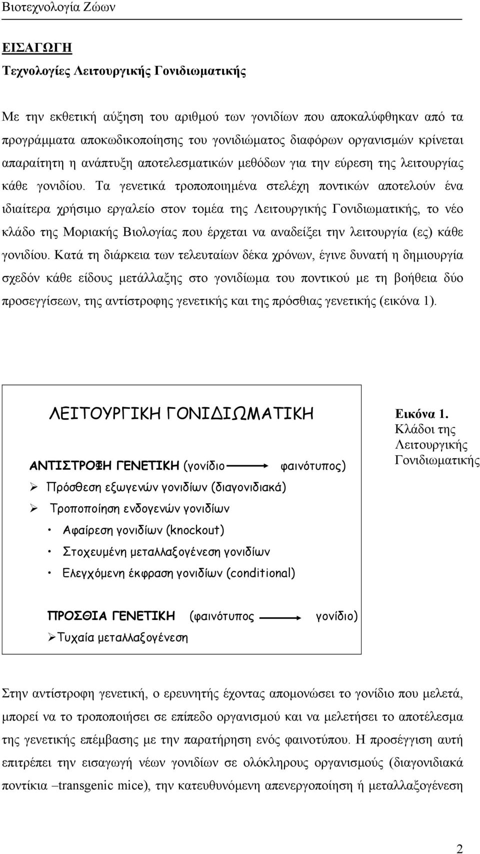 Τα γενετικά τροποποιηµένα στελέχη ποντικών αποτελούν ένα ιδιαίτερα χρήσιµο εργαλείο στον τοµέα της Λειτουργικής Γονιδιωµατικής, το νέο κλάδο της Μοριακής Βιολογίας που έρχεται να αναδείξει την