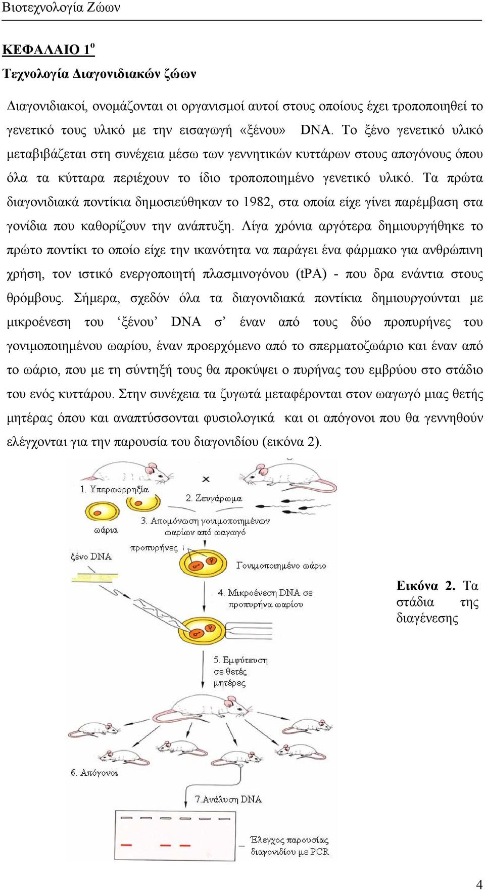 Τα πρώτα διαγονιδιακά ποντίκια δηµοσιεύθηκαν το 1982, στα οποία είχε γίνει παρέµβαση στα γονίδια που καθορίζουν την ανάπτυξη.