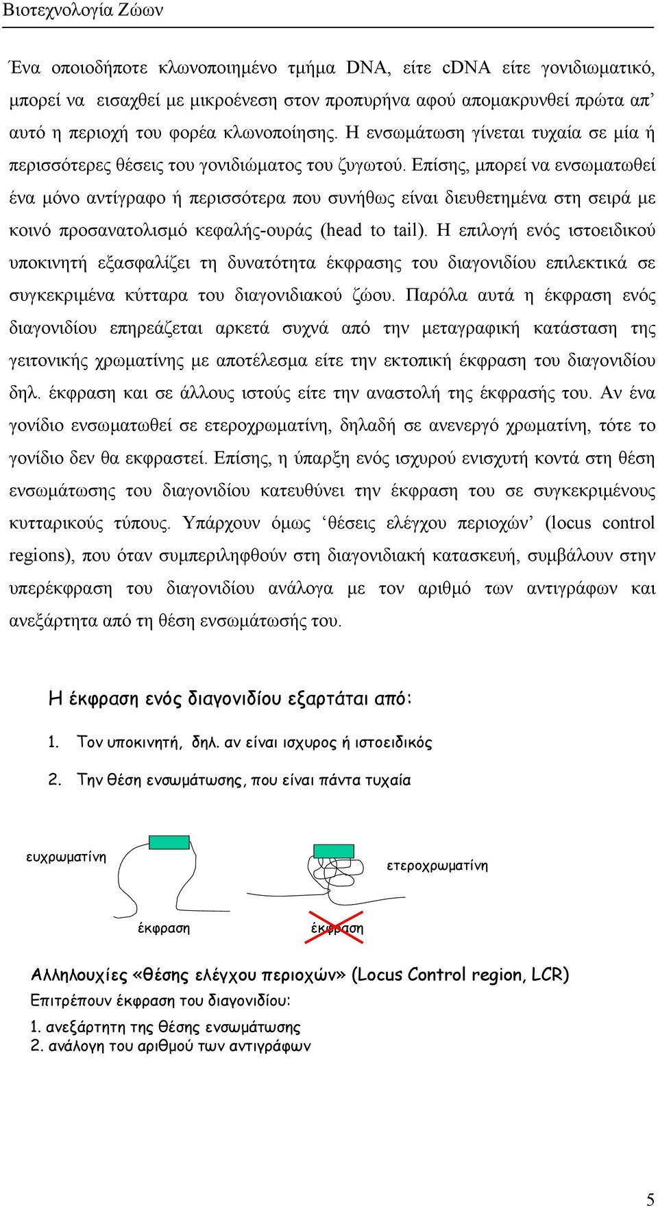 Επίσης, µπορεί να ενσωµατωθεί ένα µόνο αντίγραφο ή περισσότερα που συνήθως είναι διευθετηµένα στη σειρά µε κοινό προσανατολισµό κεφαλής-ουράς (head to tail).