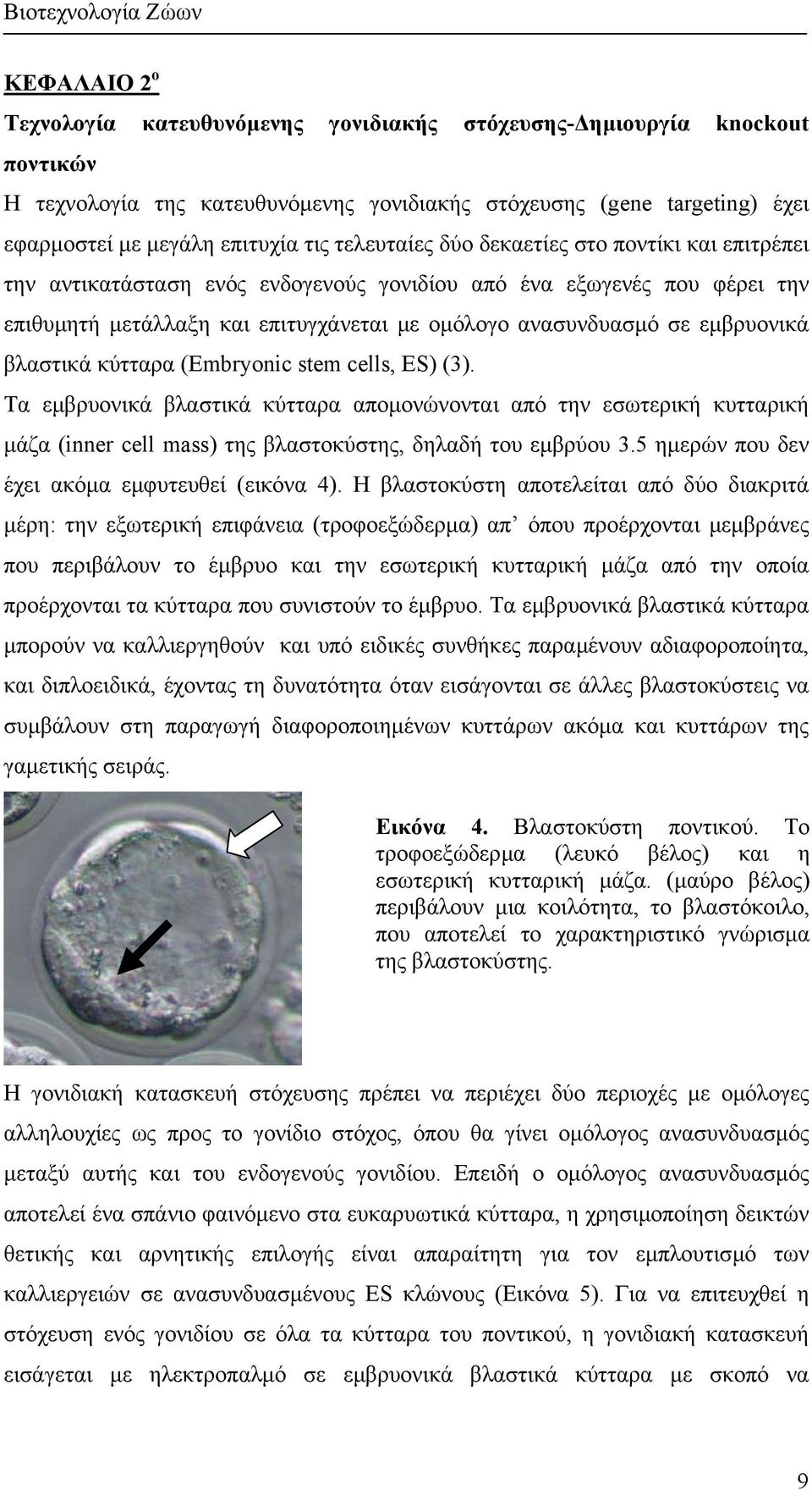 εµβρυονικά βλαστικά κύτταρα (Embryonic stem cells, ES) (3). Τα εµβρυονικά βλαστικά κύτταρα αποµονώνονται από την εσωτερική κυτταρική µάζα (inner cell mass) της βλαστοκύστης, δηλαδή του εµβρύου 3.