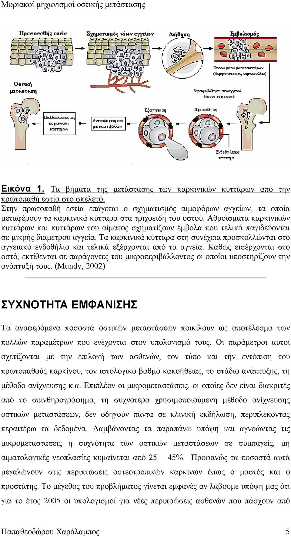 Αθροίσματα καρκινικών κυττάρων και κυττάρων του αίματος σχηματίζουν έμβολα που τελικά παγιδεύονται σε μικρής διαμέτρου αγγεία.