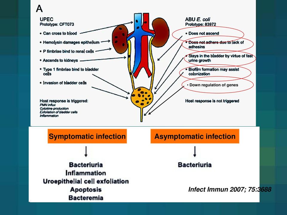 infection Asymptomatic