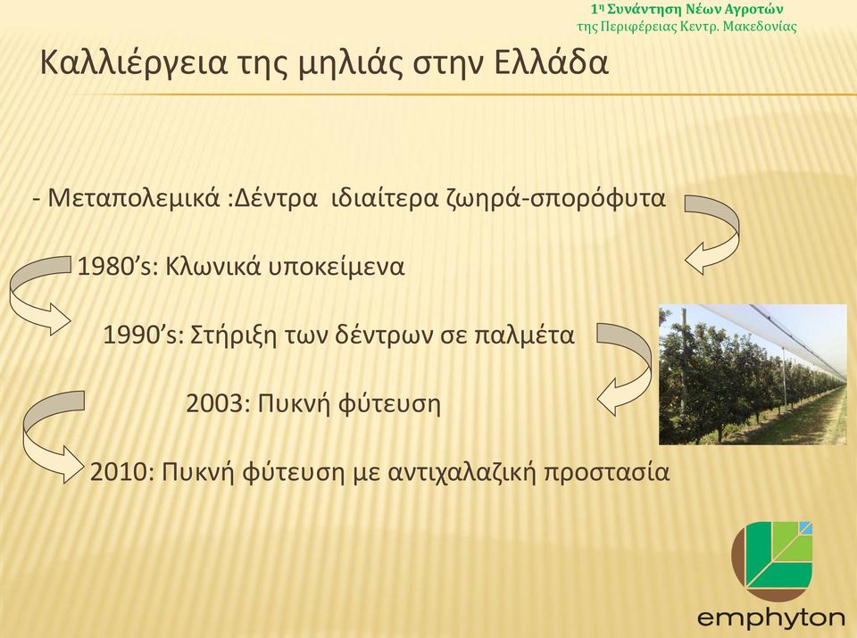 υποκείμενα 1990 s: Στήριξη των δέντρων σε παλμέτα