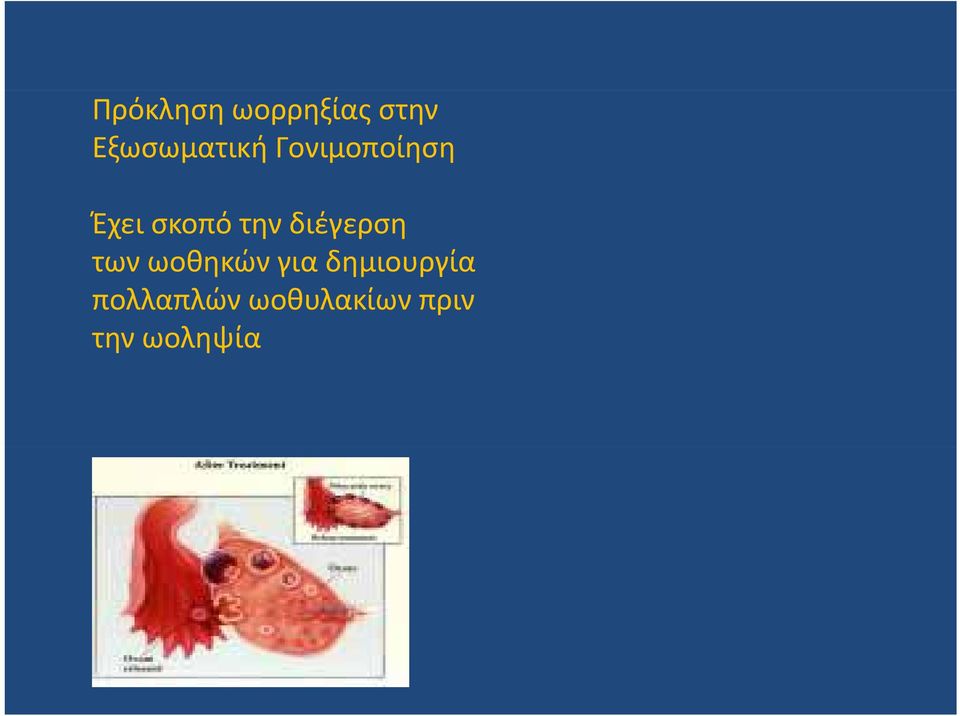 σκοπό την διέγερση των ωοθηκών για