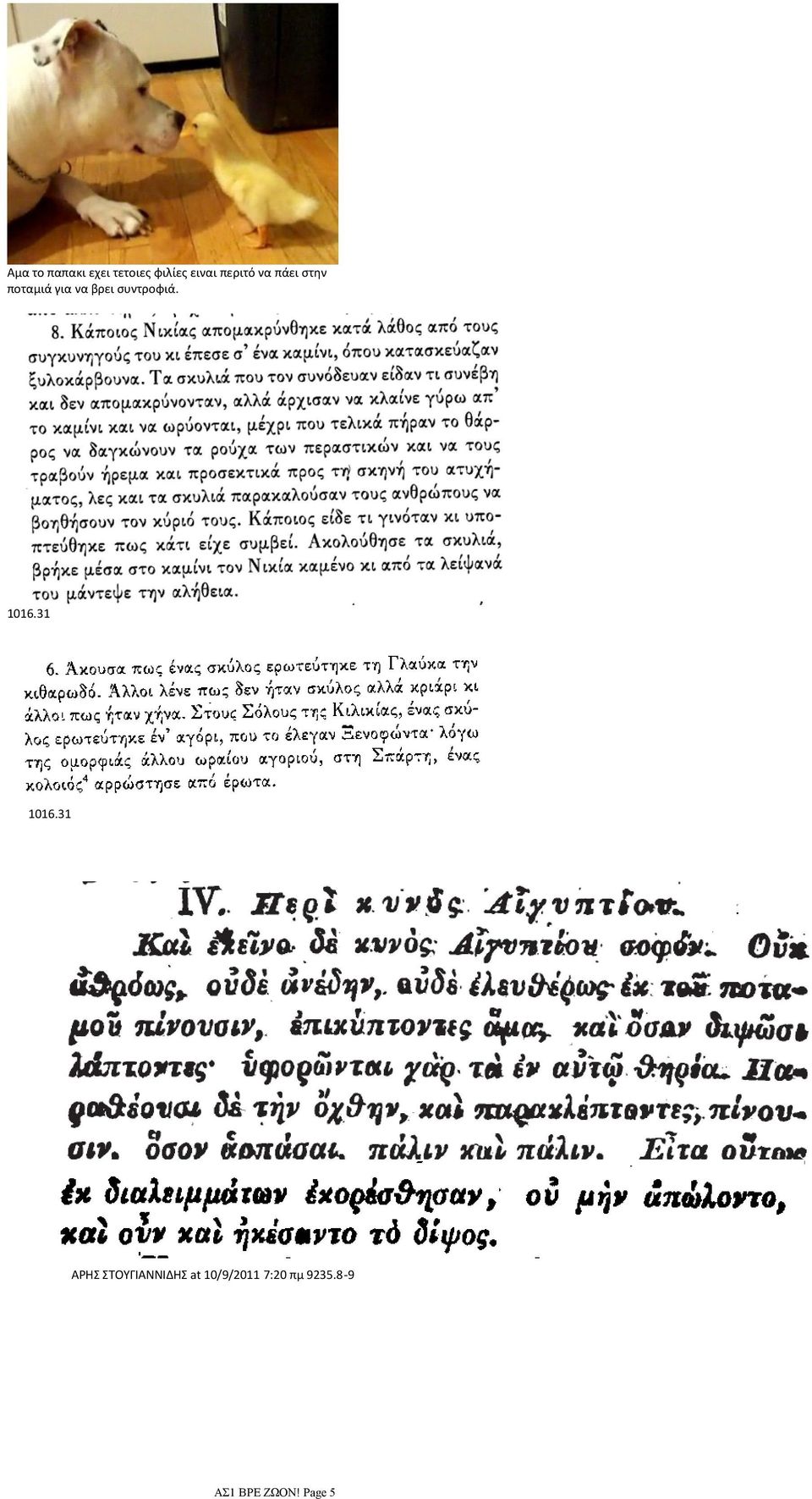 συντροφιά. 1016.31 1016.