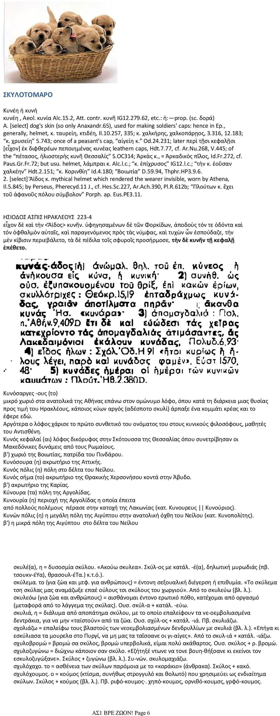 231; later περὶ τῇσι κεφαλῇσι [εἶχον] ἐκ διφθερέων πεποιημένας κυνέας leathern caps, Hdt.7.77, cf. Ar.Nu.268, V.445; of the πέτασος, ἡλιοστερὴς κυνῆ Θεσσαλίς S.OC314; Ἀρκὰς κ., = Ἀρκαδικὸς πῖλος, Id.