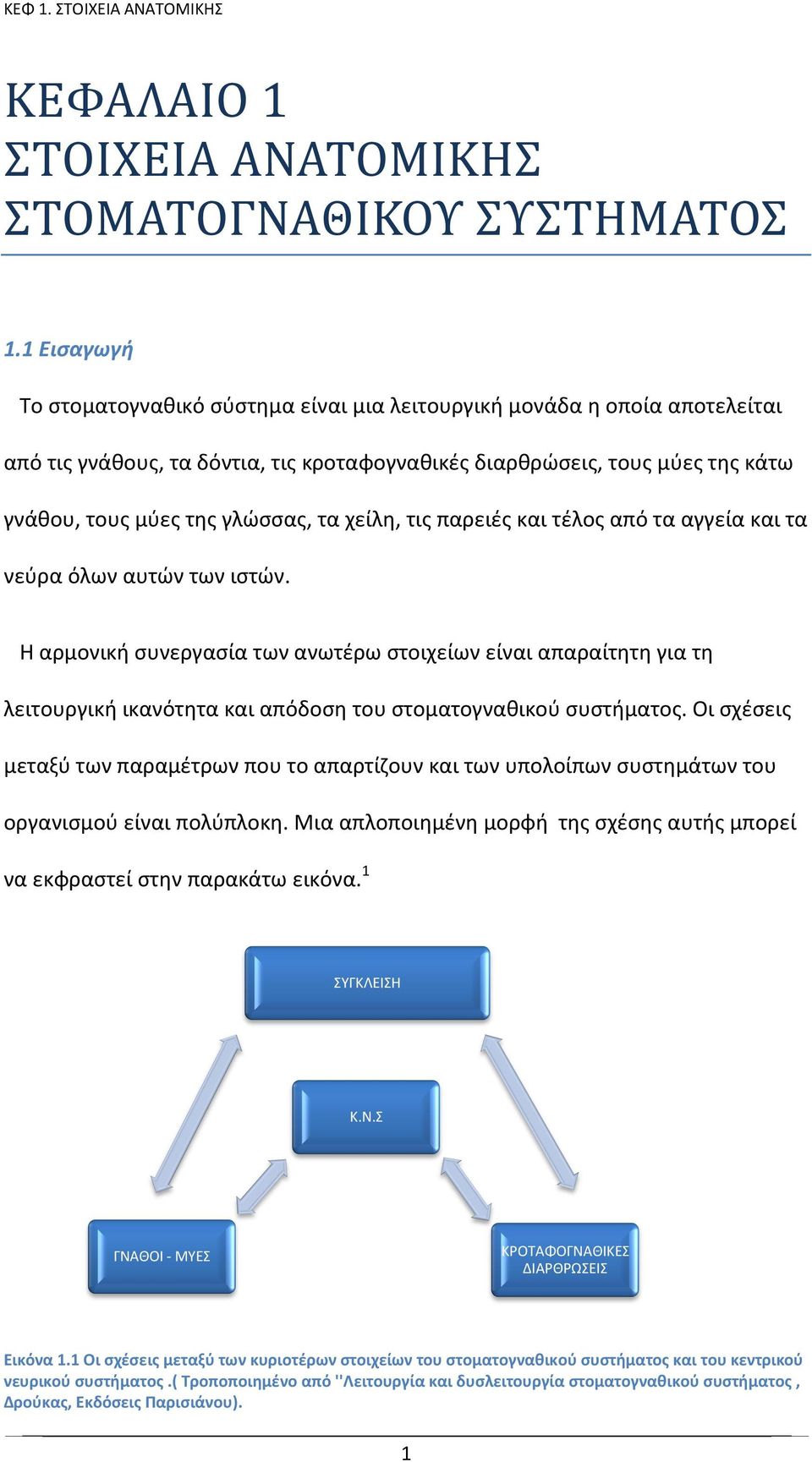 χείλη, τις παρειές και τέλος από τα αγγεία και τα νεύρα όλων αυτών των ιστών.