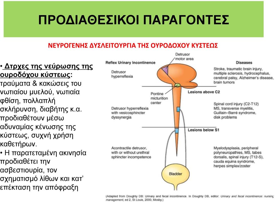 διαβήτης κ.α. προδιαθέτουν µέσω αδυναµίας κένωσης της κύστεως, συχνή χρήση καθετήρων.