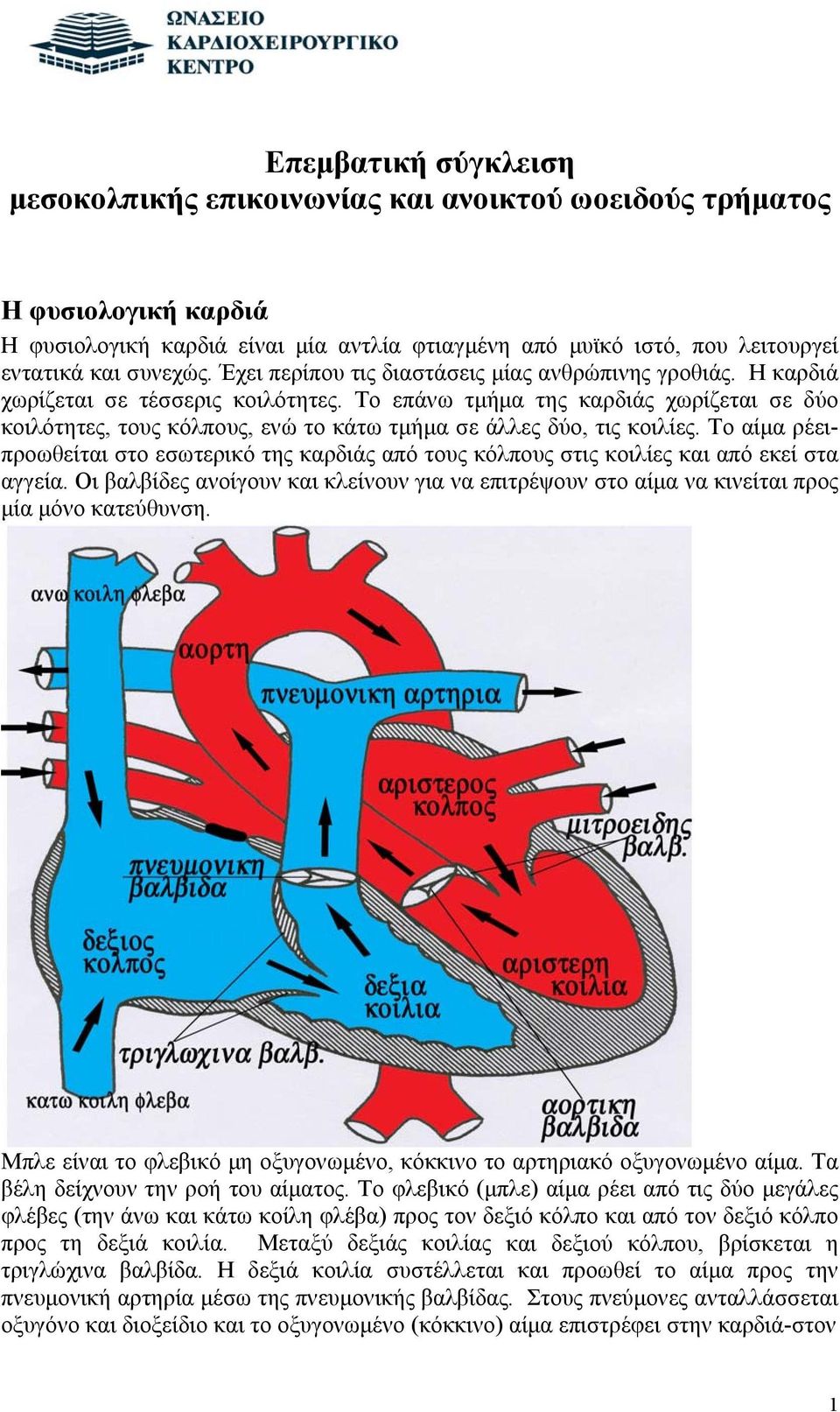 Το επάνω τμήμα της καρδιάς χωρίζεται σε δύο κοιλότητες, τους κόλπους, ενώ το κάτω τμήμα σε άλλες δύο, τις κοιλίες.