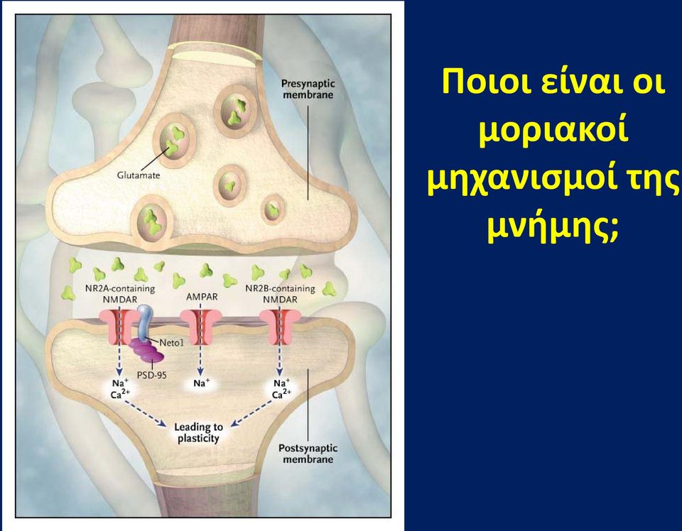 μηχανισμοί